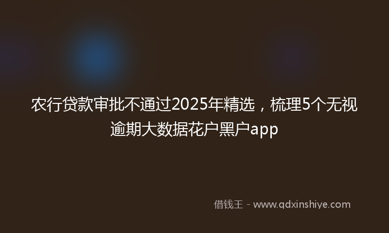 农行贷款审批不通过2025年精选，梳理5个无视逾期大数据花户黑户app