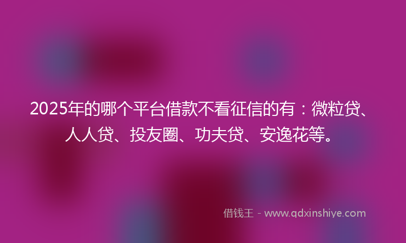 2025年的哪个平台借款不看征信的有：微粒贷、人人贷、投友圈、功夫贷、安逸花等。