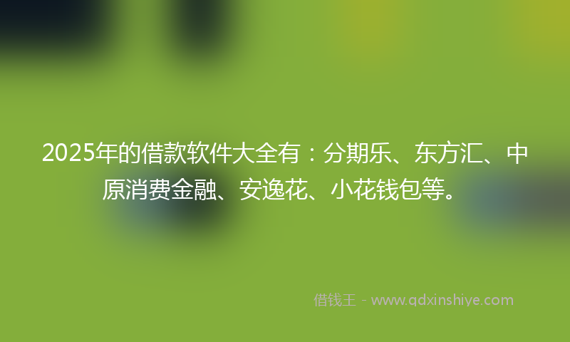 2025年的借款软件大全有：分期乐、东方汇、中原消费金融、安逸花、小花钱包等。