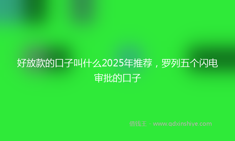 好放款的口子叫什么2025年推荐，罗列五个闪电审批的口子