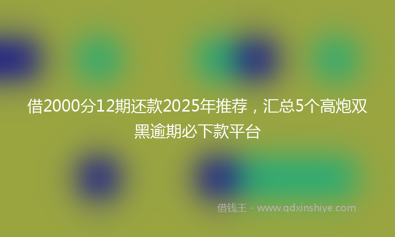 借2000分12期还款2025年推荐，汇总5个高炮双黑逾期必下款平台