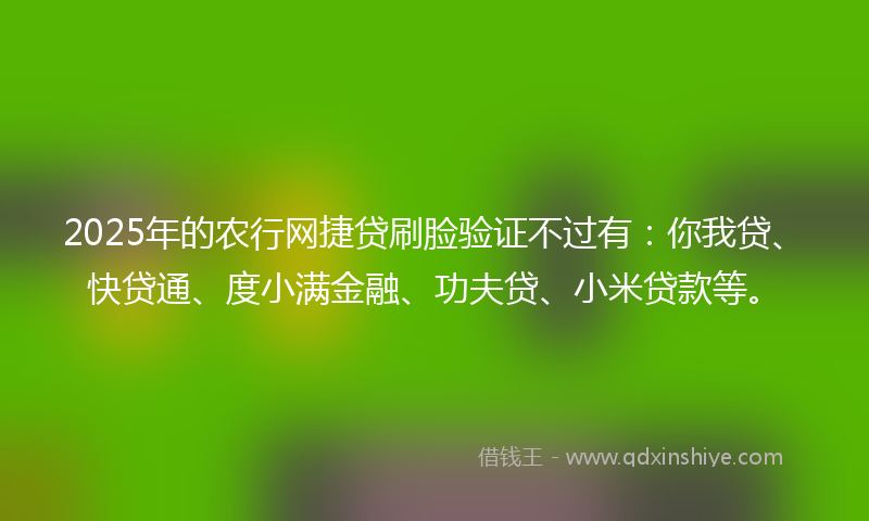 2025年的农行网捷贷刷脸验证不过有：你我贷、快贷通、度小满金融、功夫贷、小米贷款等。