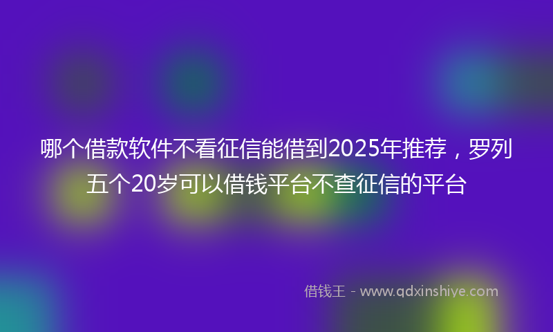 哪个借款软件不看征信能借到2025年推荐，罗列五个20岁可以借钱平台不查征信的平台