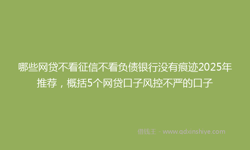 哪些网贷不看征信不看负债银行没有痕迹2025年推荐，概括5个网贷口子风控不严的口子