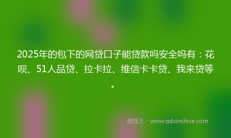 2025年的包下的网贷口子能贷款吗安全吗有：花呗、51人品贷、拉卡拉、维信卡卡贷、我来贷等。