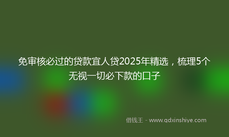 免审核必过的贷款宜人贷2025年精选，梳理5个无视一切必下款的口子