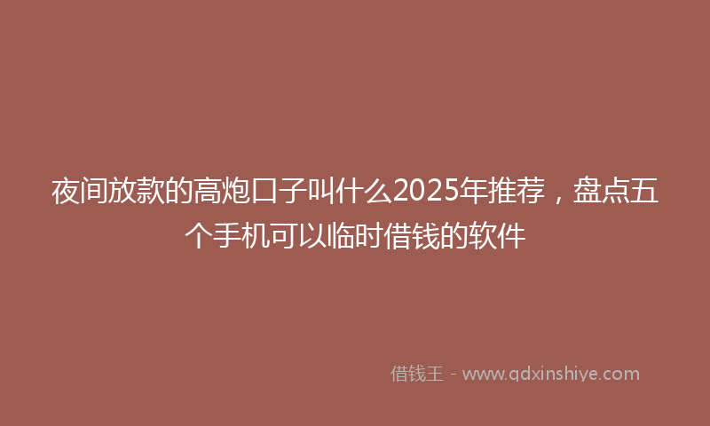 夜间放款的高炮口子叫什么2025年推荐，盘点五个手机可以临时借钱的软件