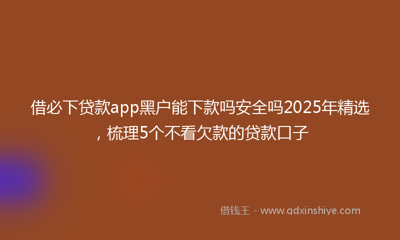 借必下贷款app黑户能下款吗安全吗2025年精选，梳理5个不看欠款的贷款口子
