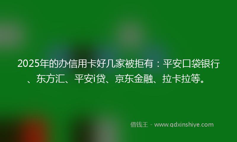 2025年的办信用卡好几家被拒有：平安口袋银行、东方汇、平安i贷、京东金融、拉卡拉等。