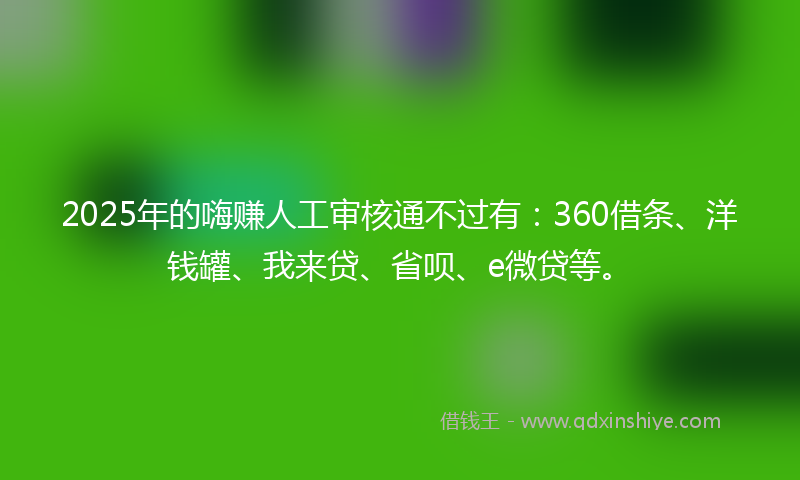 2025年的嗨赚人工审核通不过有：360借条、洋钱罐、我来贷、省呗、e微贷等。