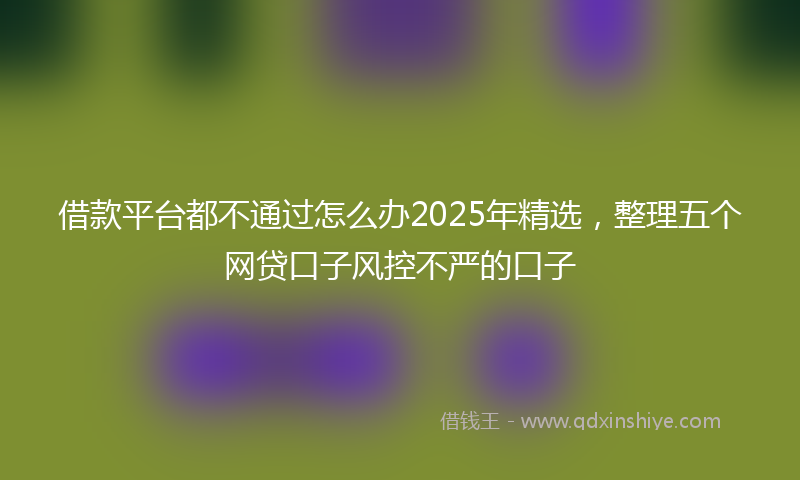 借款平台都不通过怎么办2025年精选，整理五个网贷口子风控不严的口子