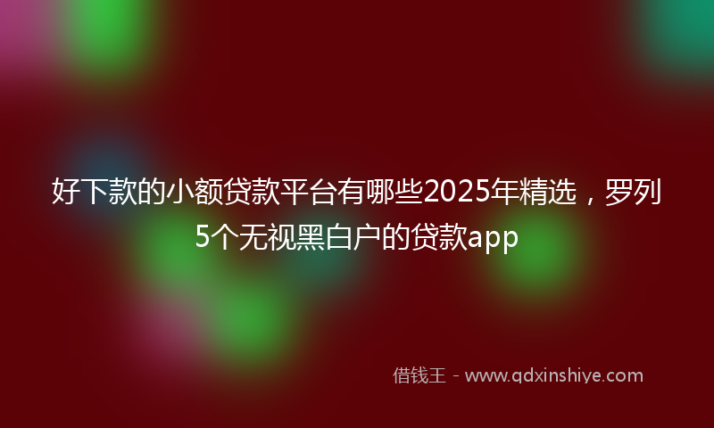 好下款的小额贷款平台有哪些2025年精选，罗列5个无视黑白户的贷款app