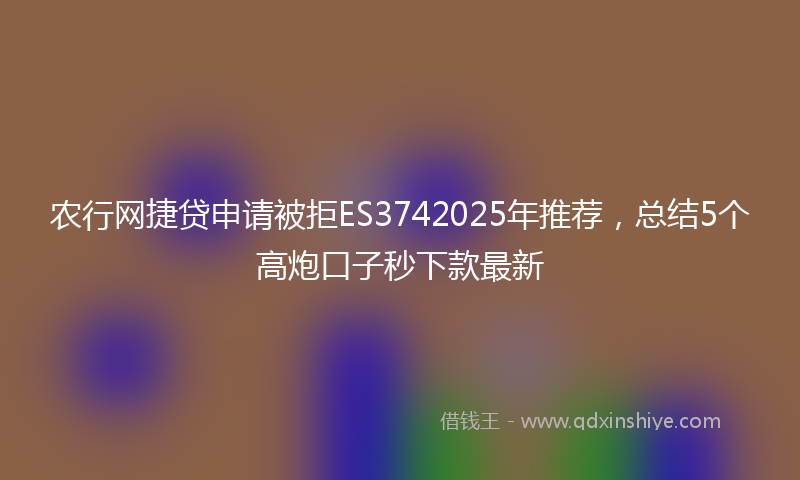 农行网捷贷申请被拒ES3742025年推荐，总结5个高炮口子秒下款最新