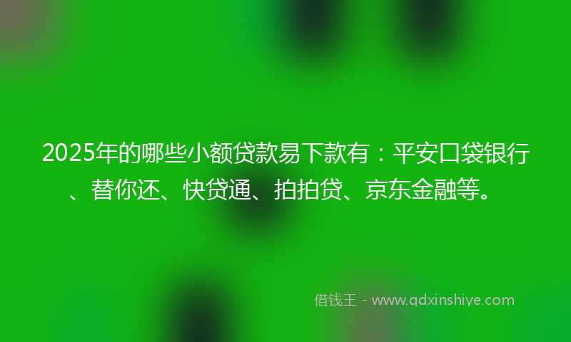 2025年的哪些小额贷款易下款有：平安口袋银行、替你还、快贷通、拍拍贷、京东金融等。