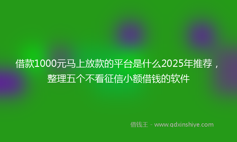 借款1000元马上放款的平台是什么2025年推荐，整理五个不看征信小额借钱的软件