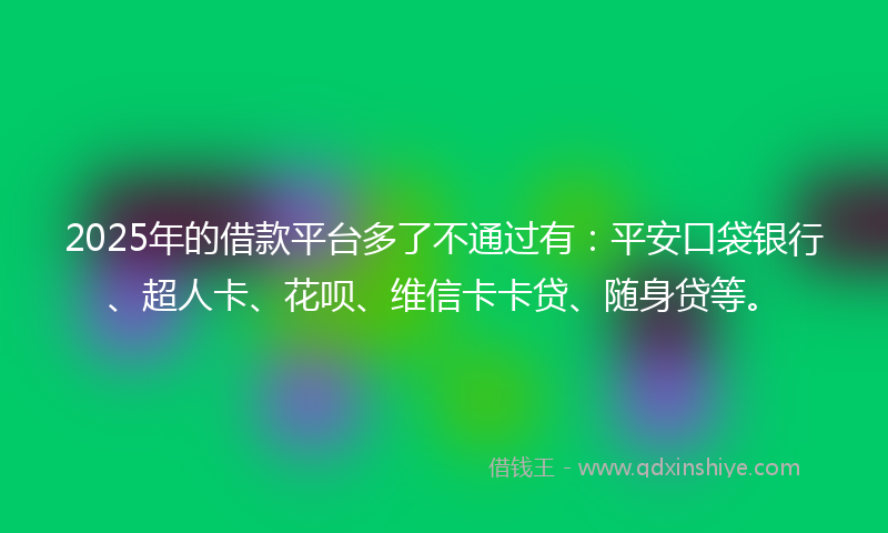 2025年的借款平台多了不通过有：平安口袋银行、超人卡、花呗、维信卡卡贷、随身贷等。