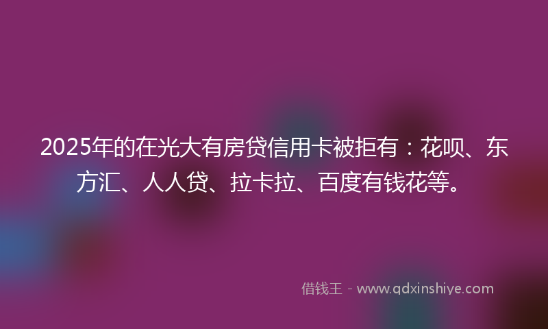 2025年的在光大有房贷信用卡被拒有：花呗、东方汇、人人贷、拉卡拉、百度有钱花等。