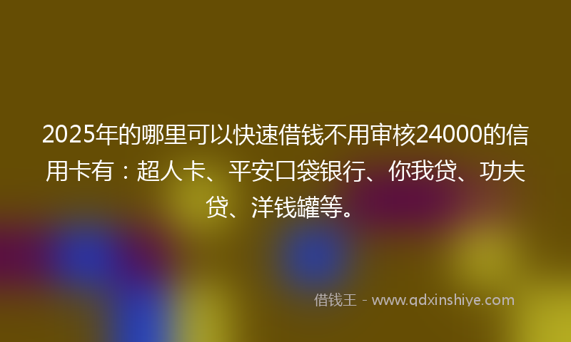 2025年的哪里可以快速借钱不用审核24000的信用卡有：超人卡、平安口袋银行、你我贷、功夫贷、洋钱罐等。