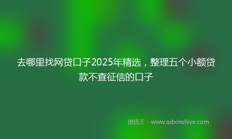去哪里找网贷口子2025年精选，整理五个小额贷款不查征信的口子