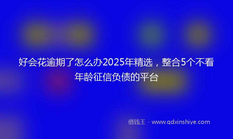 好会花逾期了怎么办2025年精选，整合5个不看年龄征信负债的平台