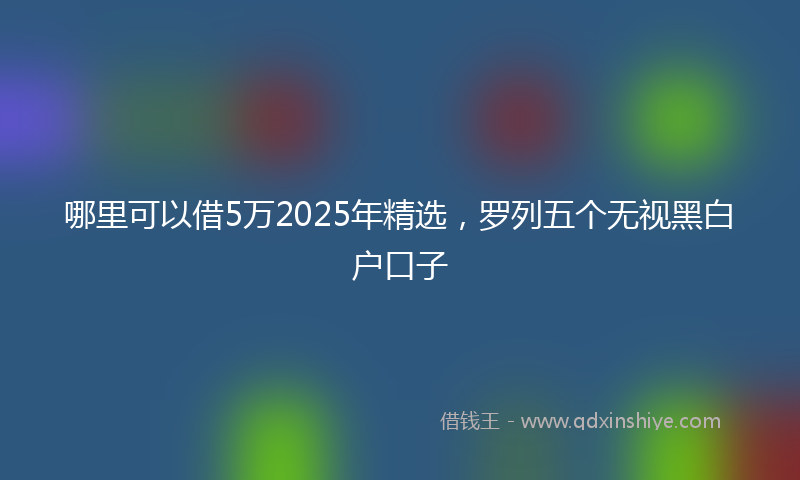 哪里可以借5万2025年精选，罗列五个无视黑白户口子