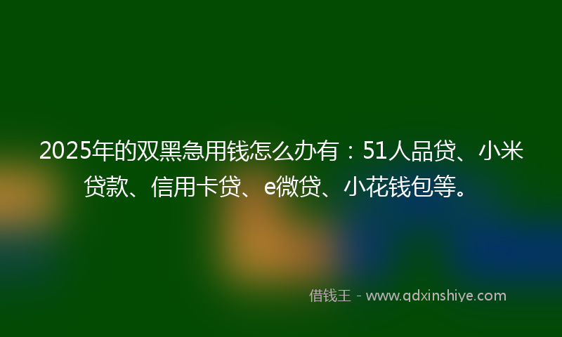 2025年的双黑急用钱怎么办有：51人品贷、小米贷款、信用卡贷、e微贷、小花钱包等。