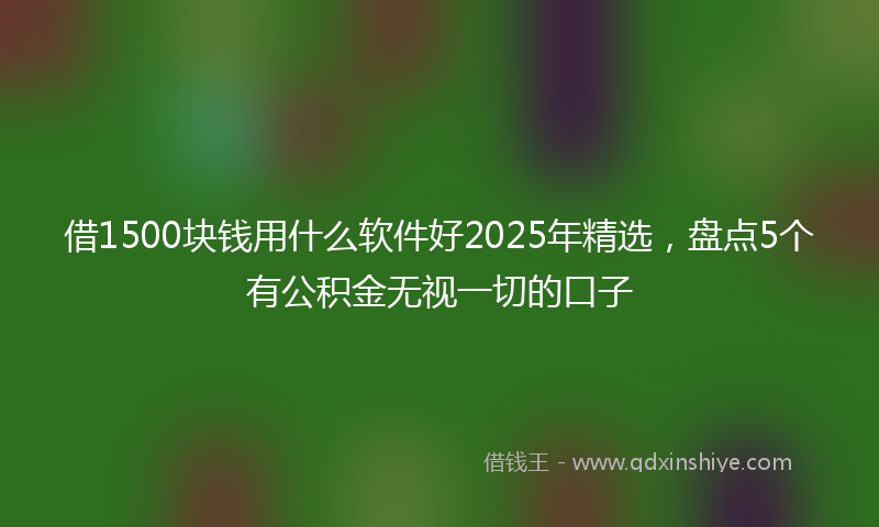 借1500块钱用什么软件好2025年精选，盘点5个有公积金无视一切的口子