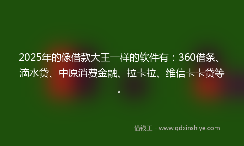 2025年的像借款大王一样的软件有：360借条、滴水贷、中原消费金融、拉卡拉、维信卡卡贷等。