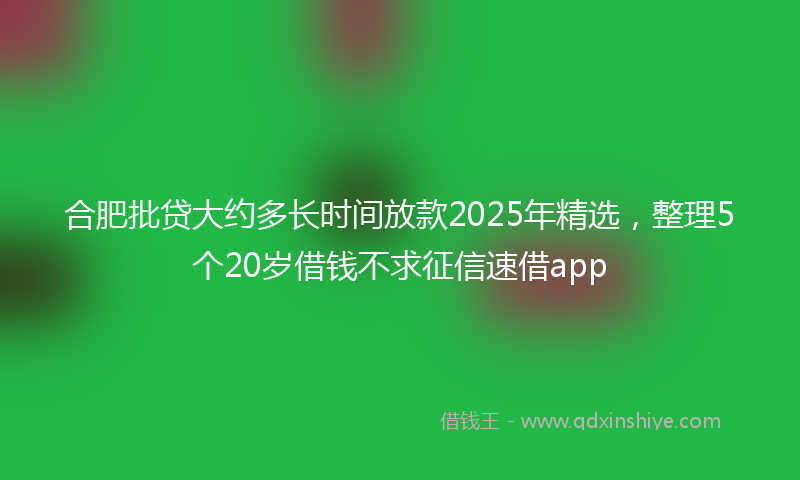 合肥批贷大约多长时间放款2025年精选，整理5个20岁借钱不求征信速借app