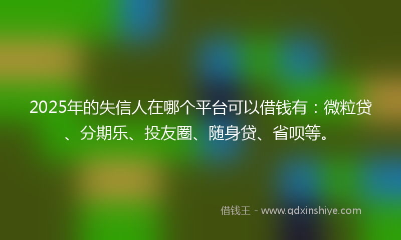2025年的失信人在哪个平台可以借钱有：微粒贷、分期乐、投友圈、随身贷、省呗等。