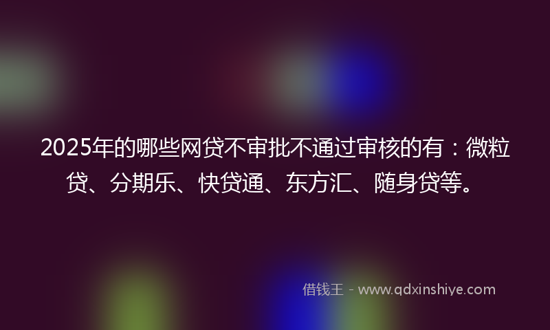 2025年的哪些网贷不审批不通过审核的有：微粒贷、分期乐、快贷通、东方汇、随身贷等。