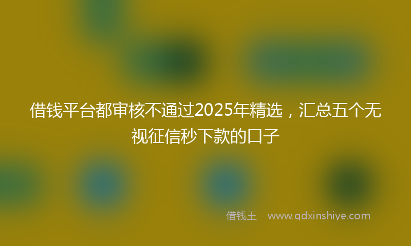 借钱平台都审核不通过2025年精选，汇总五个无视征信秒下款的口子