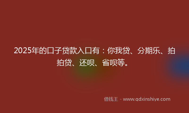 2025年的口子贷款入口有：你我贷、分期乐、拍拍贷、还呗、省呗等。