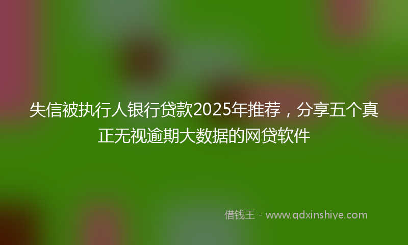 失信被执行人银行贷款2025年推荐，分享五个真正无视逾期大数据的网贷软件