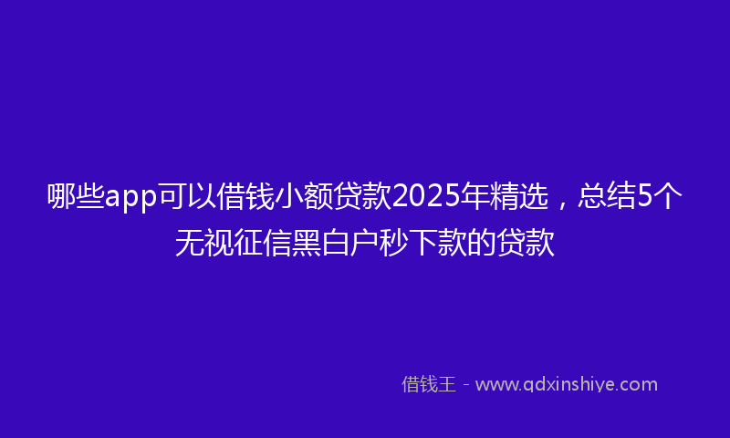 哪些app可以借钱小额贷款2025年精选，总结5个无视征信黑白户秒下款的贷款