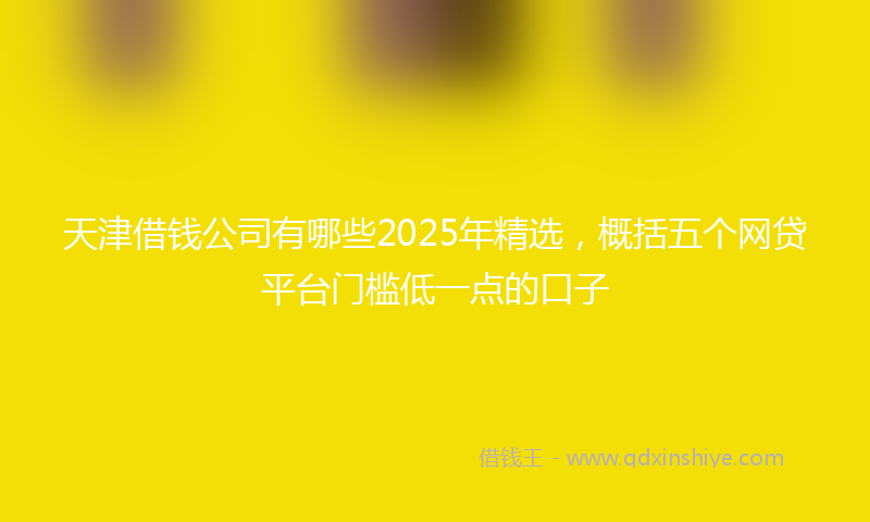天津借钱公司有哪些2025年精选，概括五个网贷平台门槛低一点的口子