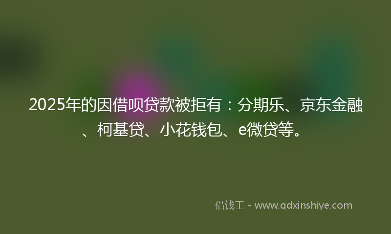 2025年的因借呗贷款被拒有：分期乐、京东金融、柯基贷、小花钱包、e微贷等。