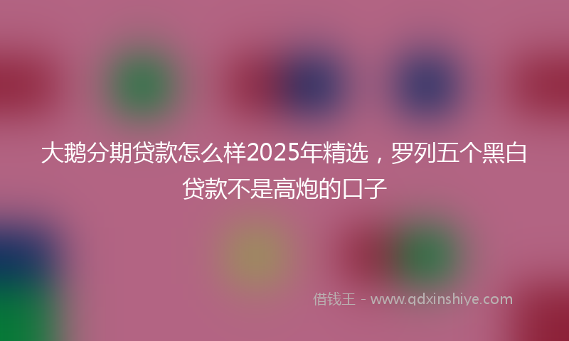 大鹅分期贷款怎么样2025年精选，罗列五个黑白贷款不是高炮的口子