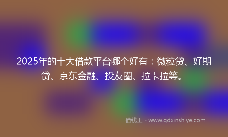 2025年的十大借款平台哪个好有：微粒贷、好期贷、京东金融、投友圈、拉卡拉等。