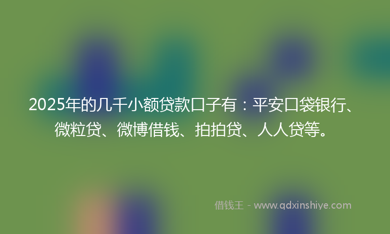 2025年的几千小额贷款口子有：平安口袋银行、微粒贷、微博借钱、拍拍贷、人人贷等。
