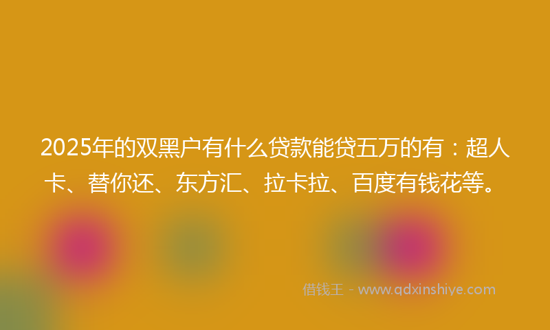 2025年的双黑户有什么贷款能贷五万的有：超人卡、替你还、东方汇、拉卡拉、百度有钱花等。