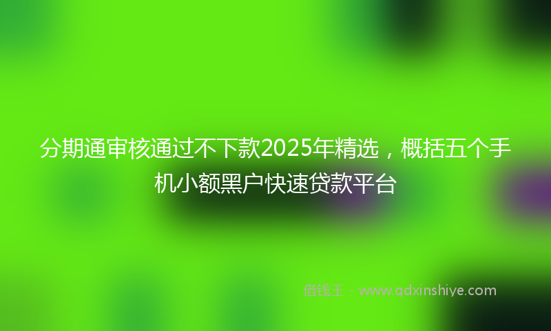 分期通审核通过不下款2025年精选，概括五个手机小额黑户快速贷款平台