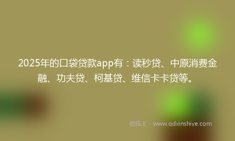 2025年的口袋贷款app有：读秒贷、中原消费金融、功夫贷、柯基贷、维信卡卡贷等。