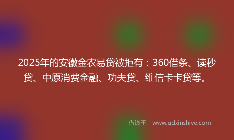 2025年的安徽金农易贷被拒有：360借条、读秒贷、中原消费金融、功夫贷、维信卡卡贷等。