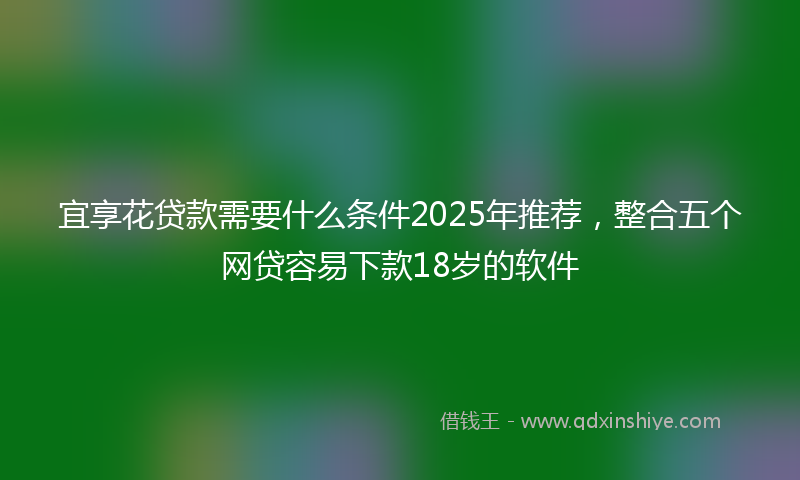 宜享花贷款需要什么条件2025年推荐，整合五个网贷容易下款18岁的软件