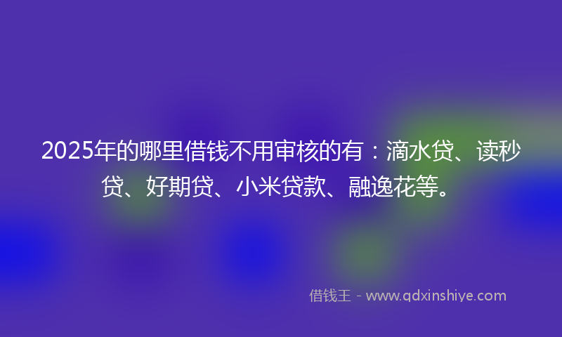 2025年的哪里借钱不用审核的有：滴水贷、读秒贷、好期贷、小米贷款、融逸花等。