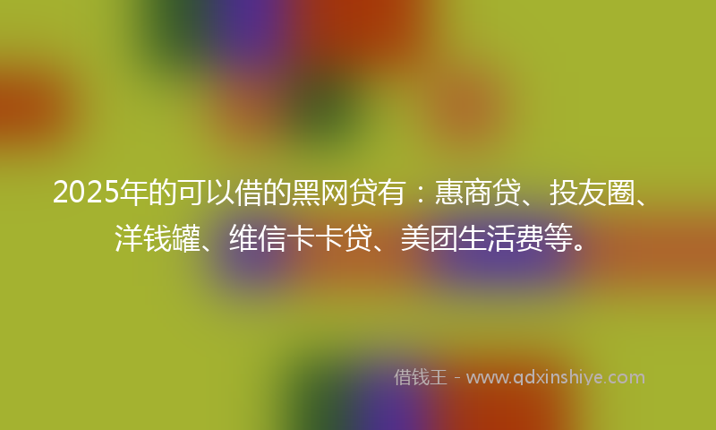 2025年的可以借的黑网贷有：惠商贷、投友圈、洋钱罐、维信卡卡贷、美团生活费等。