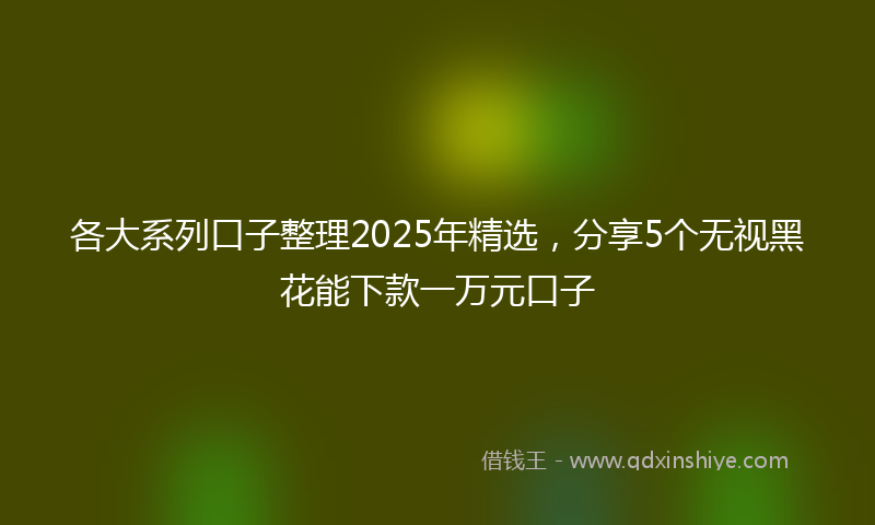 各大系列口子整理2025年精选，分享5个无视黑花能下款一万元口子