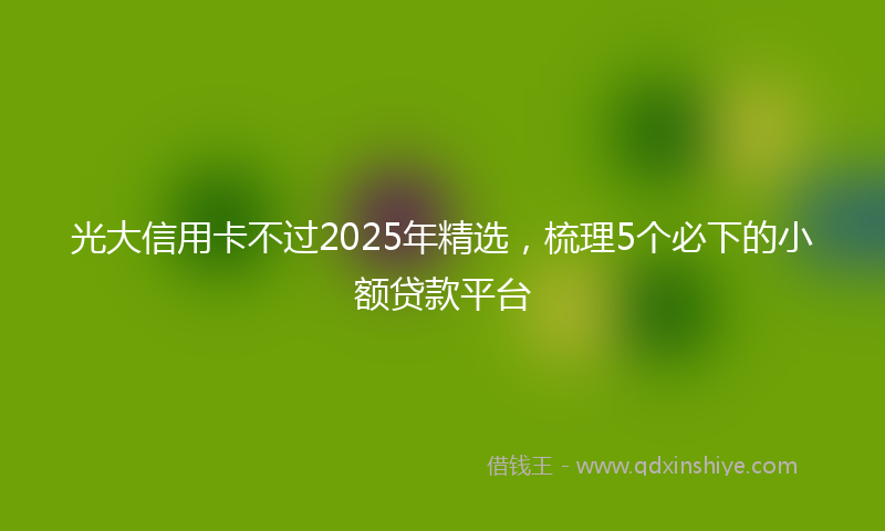 光大信用卡不过2025年精选，梳理5个必下的小额贷款平台