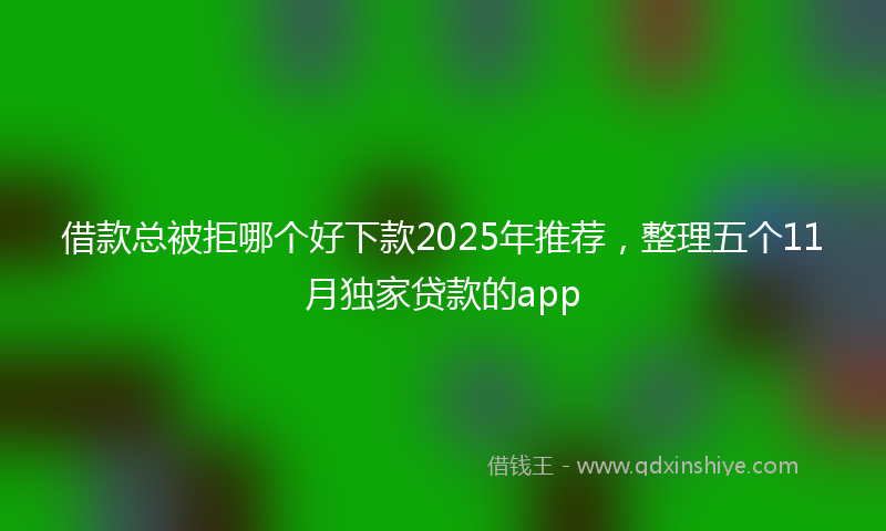 借款总被拒哪个好下款2025年推荐，整理五个11月独家贷款的app